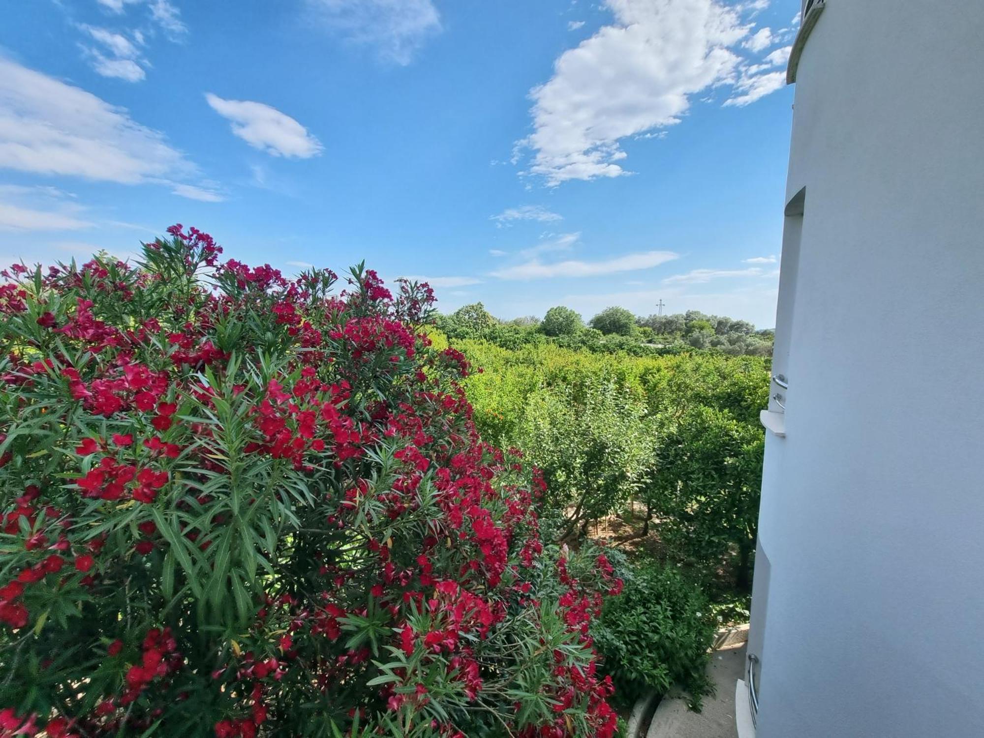 Le Domaine Green Paradise Ulcinj Exterior photo