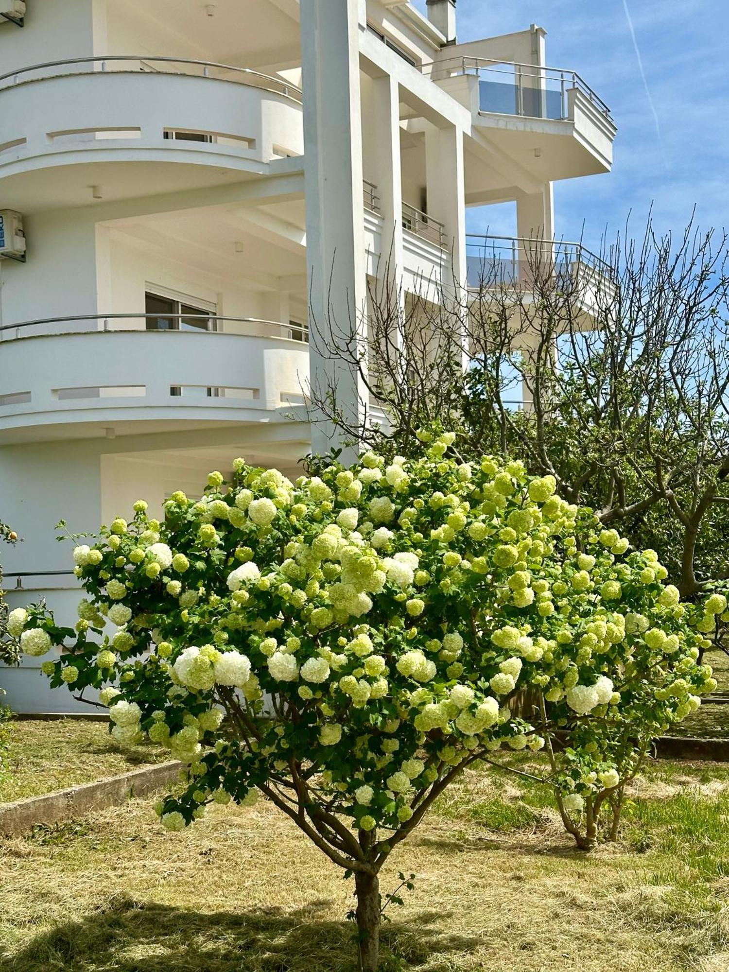 Le Domaine Green Paradise Ulcinj Exterior photo